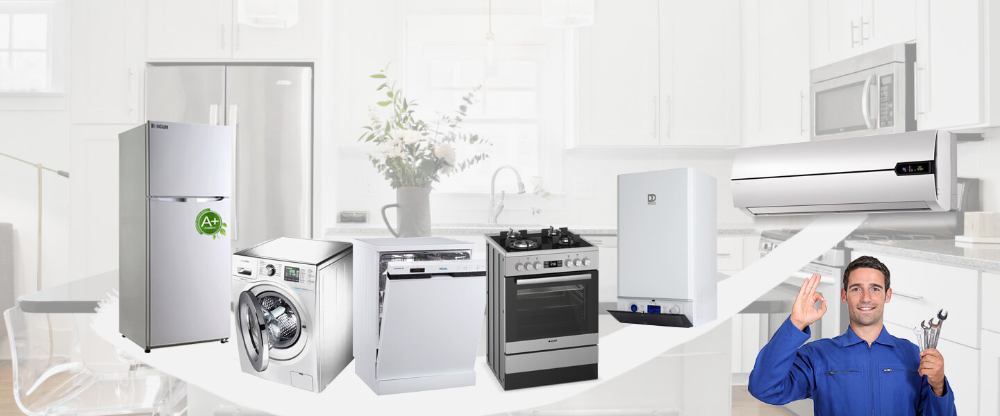 Ayaş Electrolux Servisi